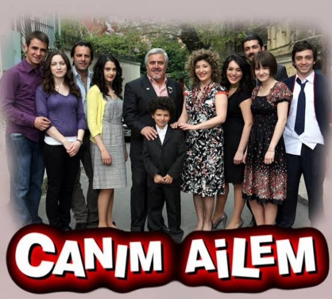 Дорогая моя семья постер