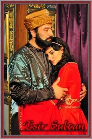 Султан невольник постер